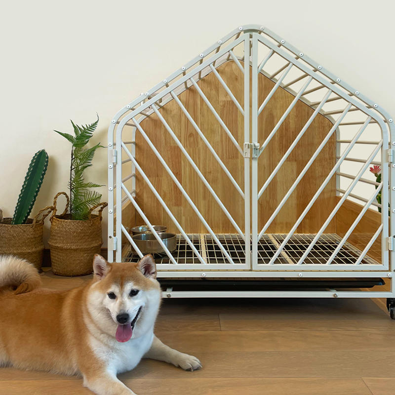 Velká dřevěná ocelová vnitřní psí klece Velká dřevěná ocelová vnitřní psí klece